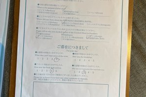 旅行者の写真