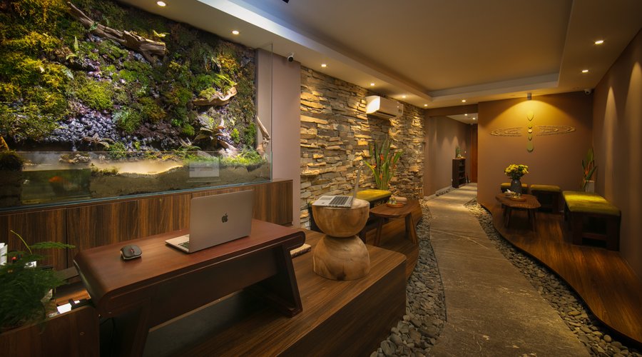 Spa Reception Area