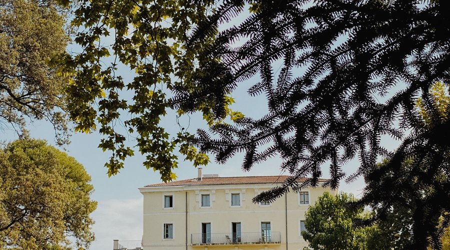 Le parc classé du Domaine de Verchant est un véritable trésor de verdure, où la nature se dévoile dans toute sa splendeur. Entre arbres centenaires, allées ombragées et paysages soigneusement préservés, chaque pas est une invitation à la contemplation et à l'évasion. Un lieu hors du temps, idéal pour se reconnecter avec la nature.