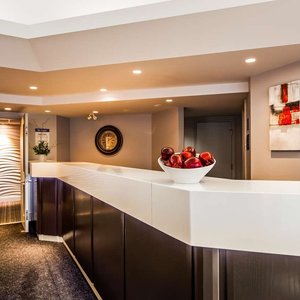 Lobby / Reception