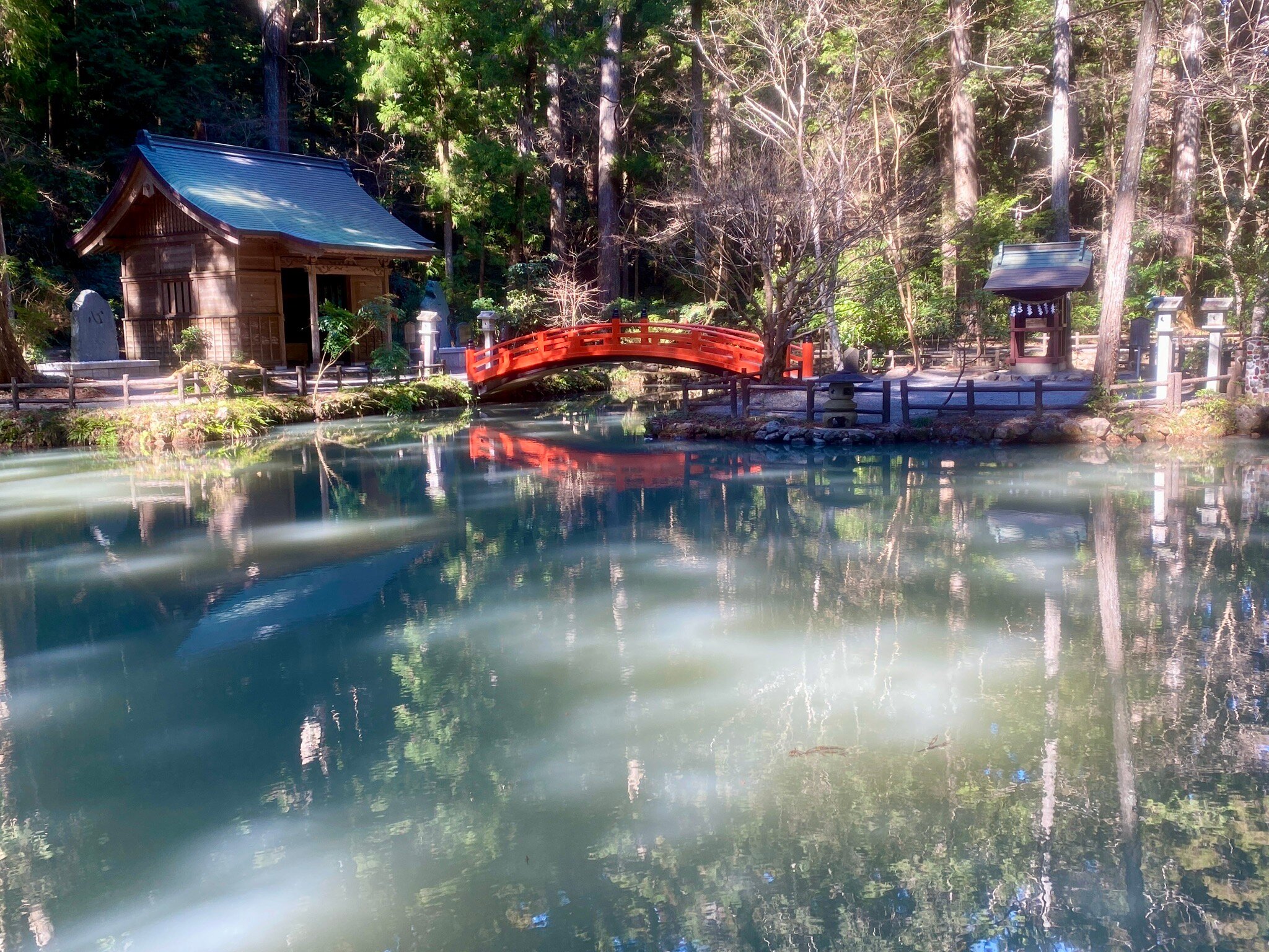 小國神社 口コミ・写真・地図・情報 - トリップアドバイザー