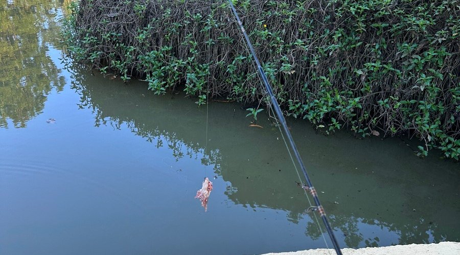 The best fishing experience in Chiang Mai