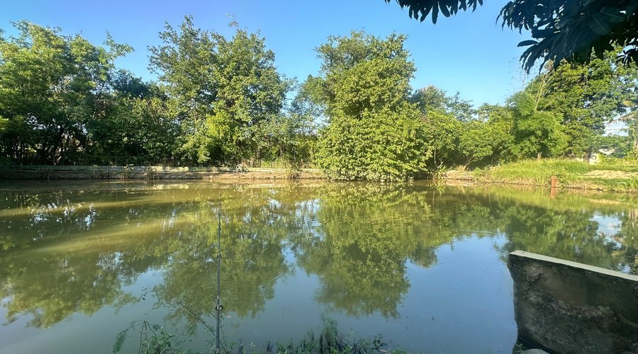 The best fishing experience in Chiang Mai
