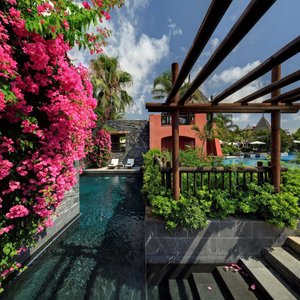 Vip Pool