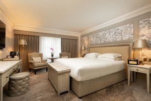 Room & Suite