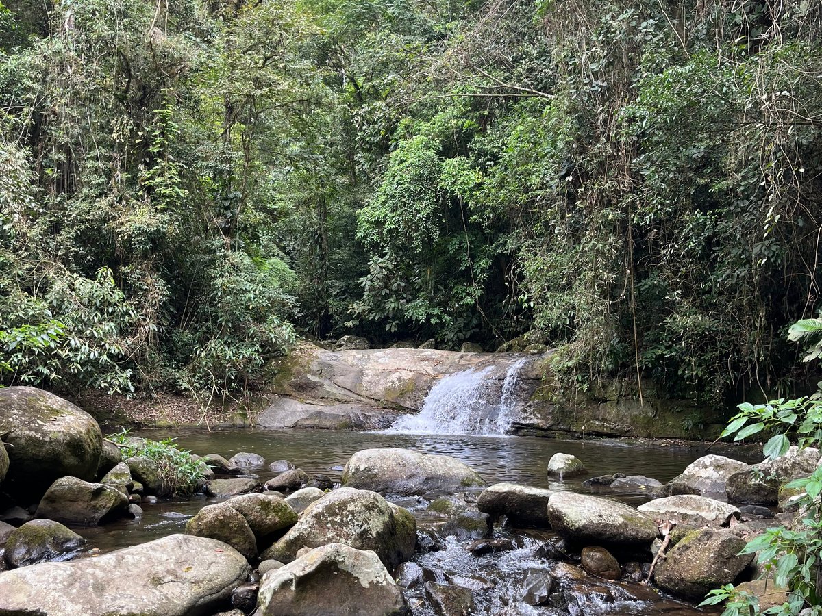 Caiçara Beach Ilhabela - All You Need to Know BEFORE You Go (2024)