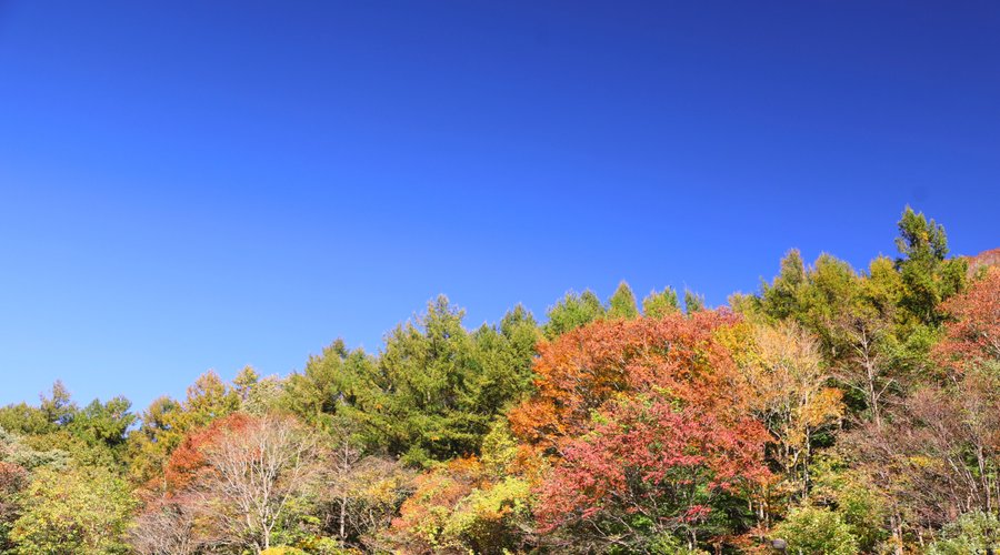 道の駅錦秋湖：駐車場から見える山の紅葉