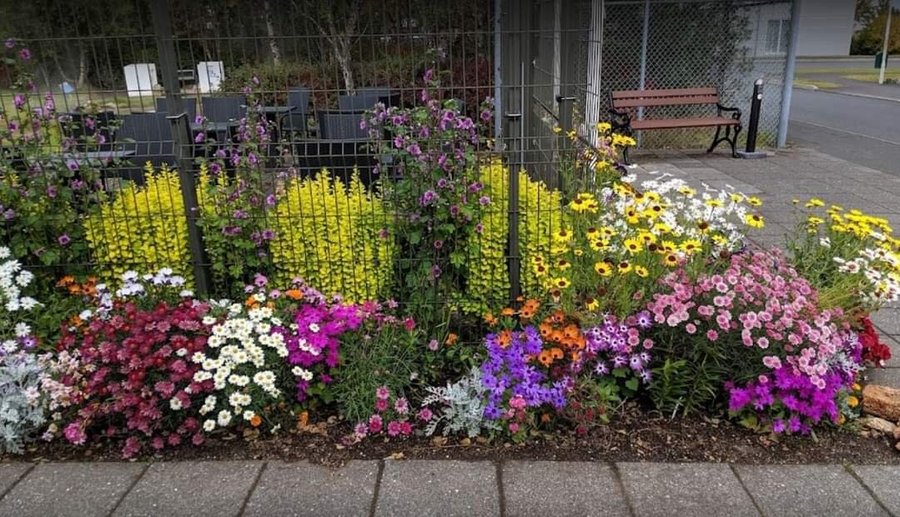 The front garden 