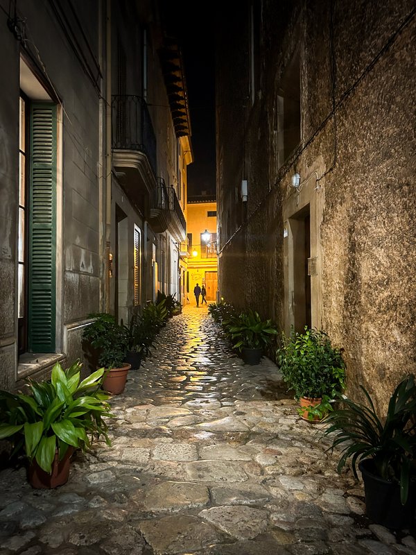 MON BOUTIQUE HOTEL - Updated 2024 Prices & Reviews (Pollenca, Majorca, Spain) MON BOUTIQUE HOTEL - Updated 2024 Prices &  Reviews... 