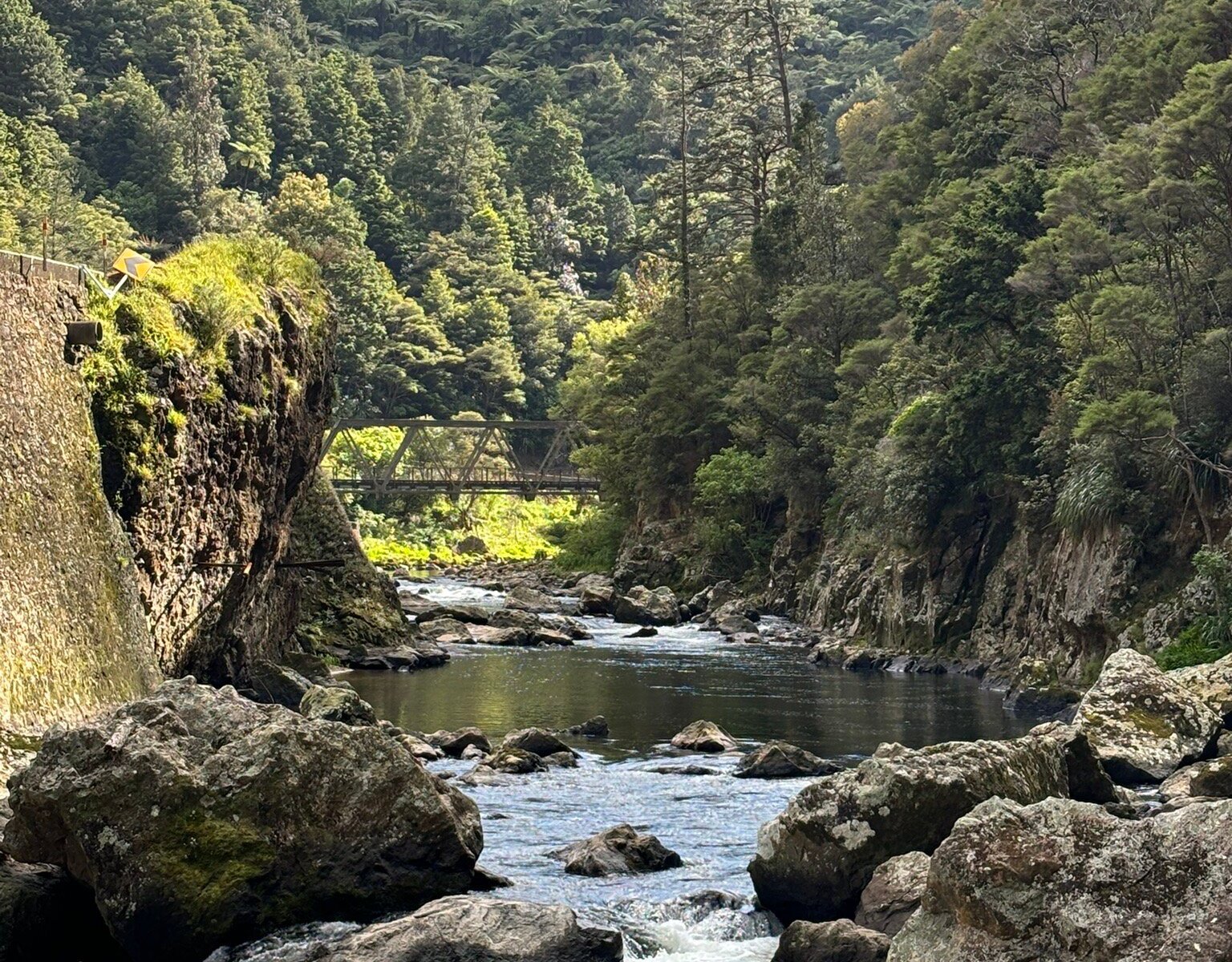 The Hauraki Experience (2025) - All You Need to Know BEFORE You Go (with Reviews)