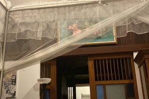 旅行者の写真