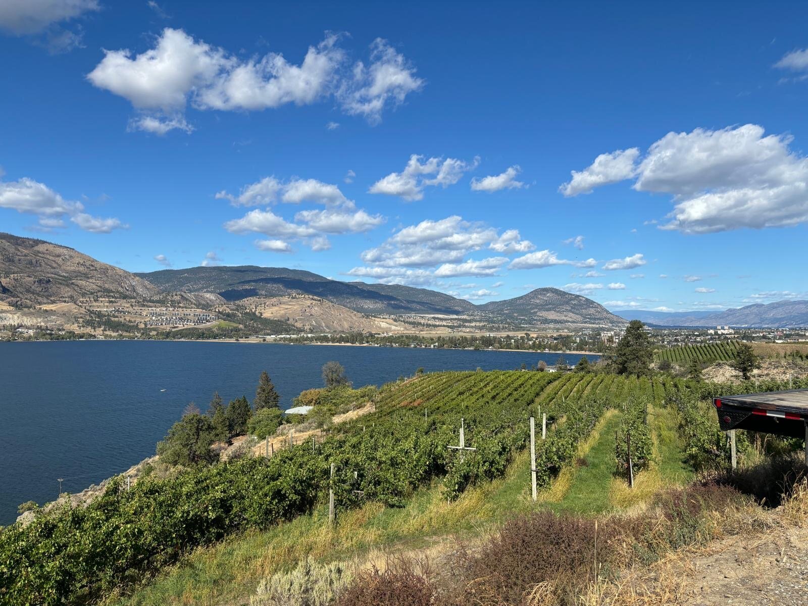 Grape Savvy Wine Tours (2025) - All You Need to Know BEFORE You Go (with Trusted Reviews)