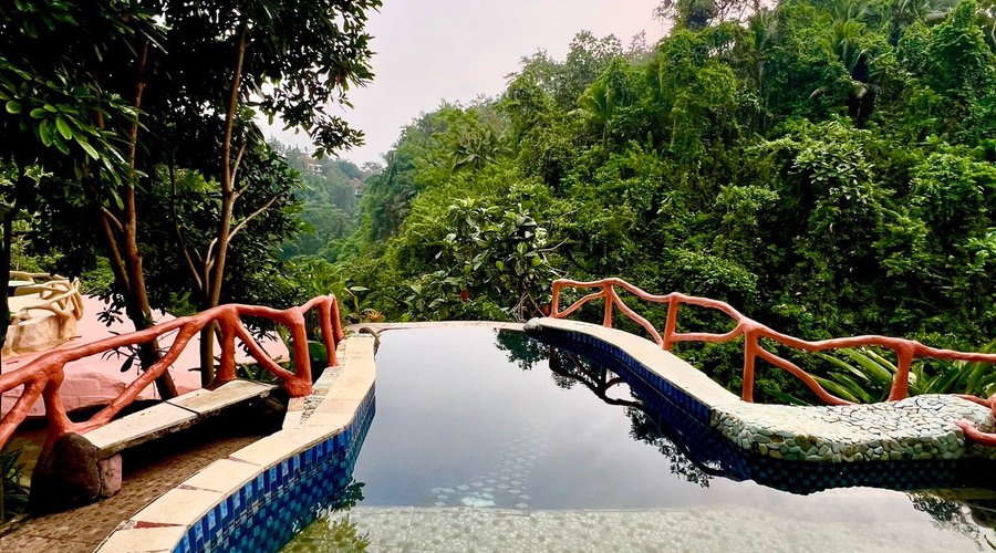 Pool with jungle view