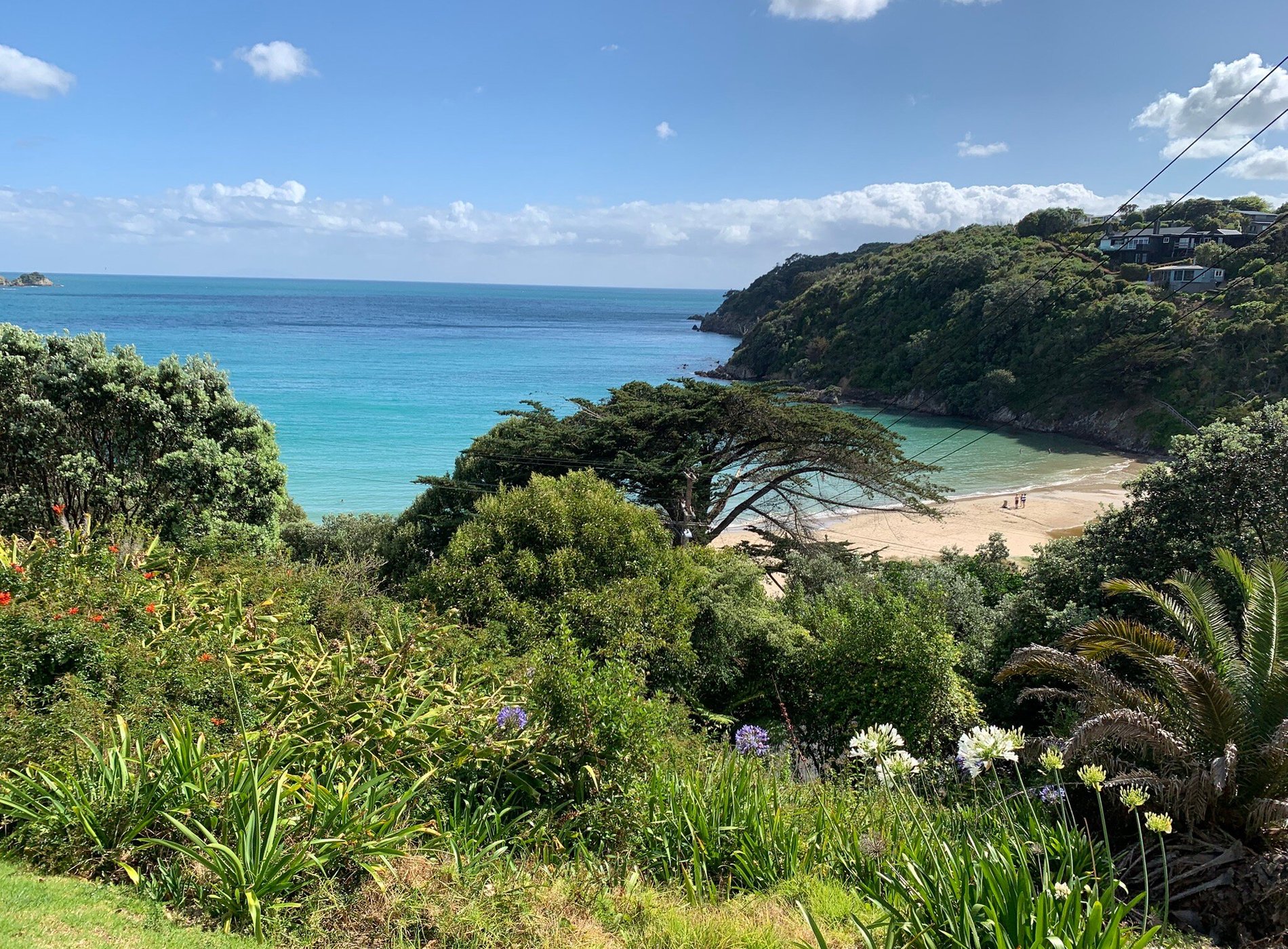 Tawa Lodge Waiheke Island by null