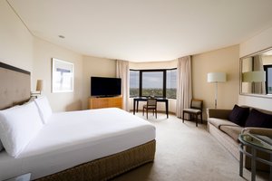 Room & Suite