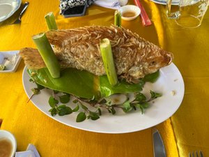 Khách du lịch