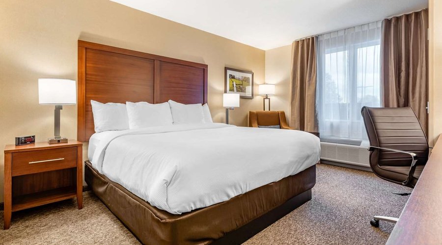 Guest room with king bed(s)