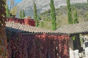 Viaggiatori