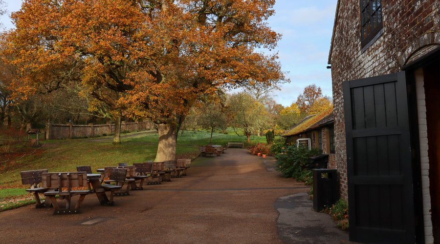 Autumn colour at Bateman's