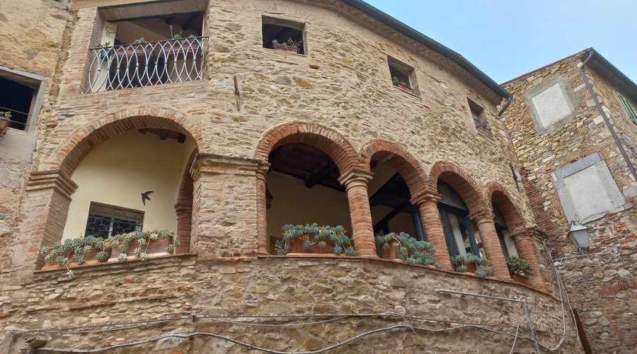 Col naso all'insù
