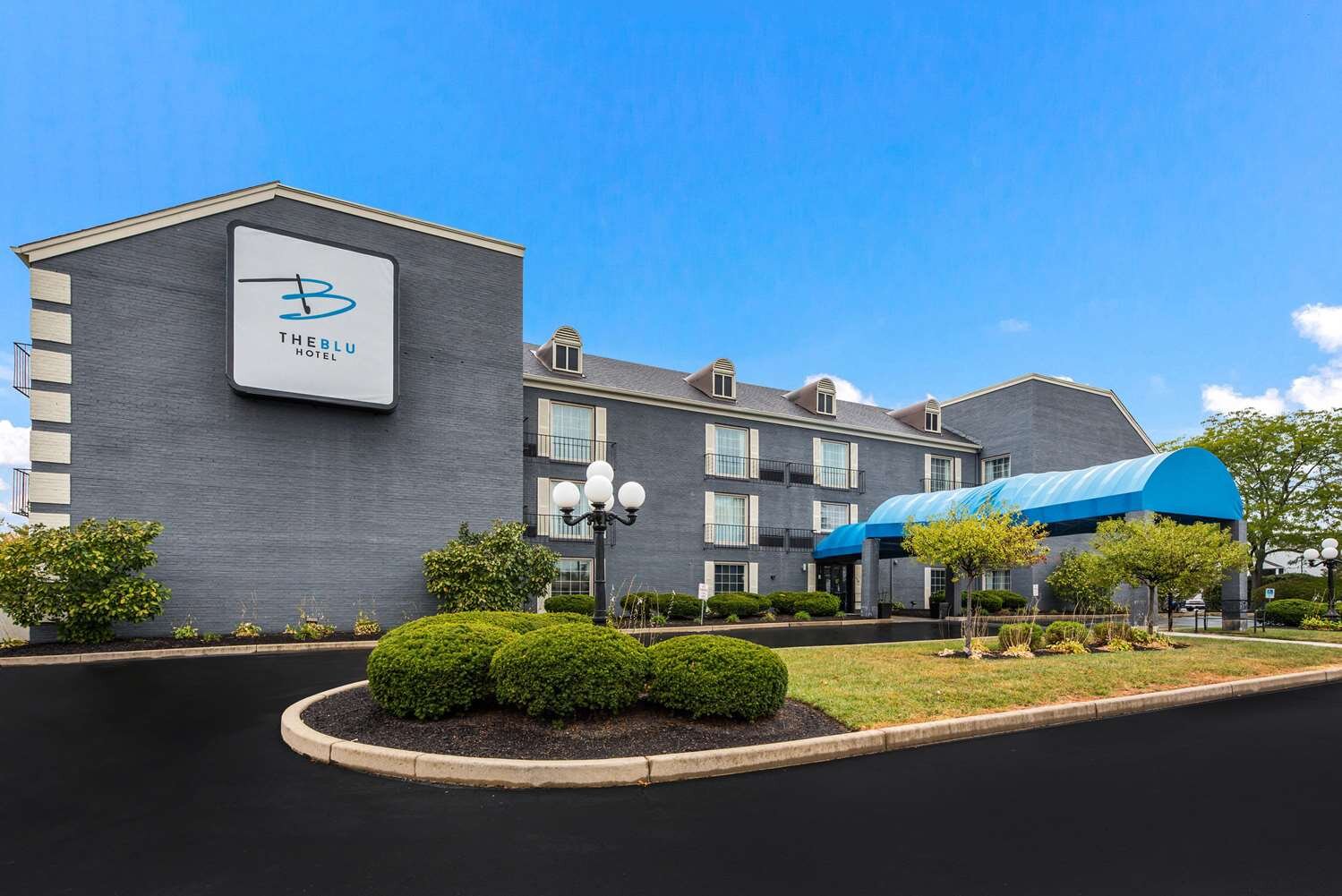 Blue hotel discount