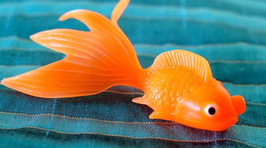 Aston Waikiki Circle Hotel - Gold Fish