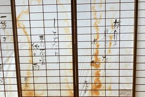 旅行者の写真