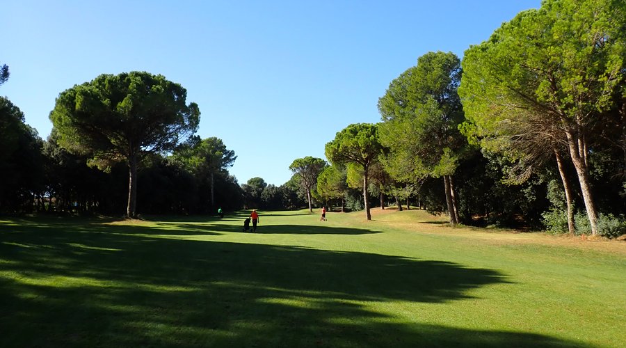 Le golf