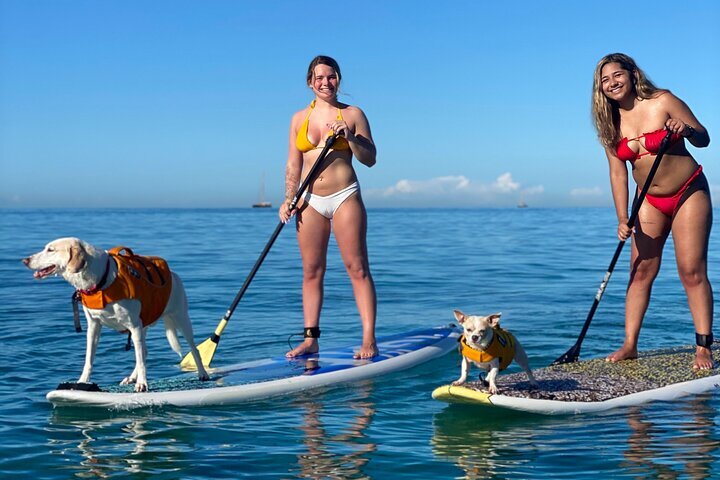 Waikiki stand up paddle hotsell