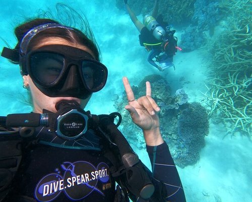 Cairns Dive