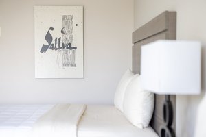 Room & Suite