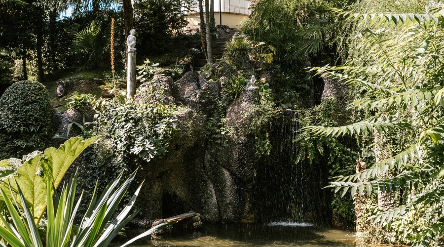 The Garden