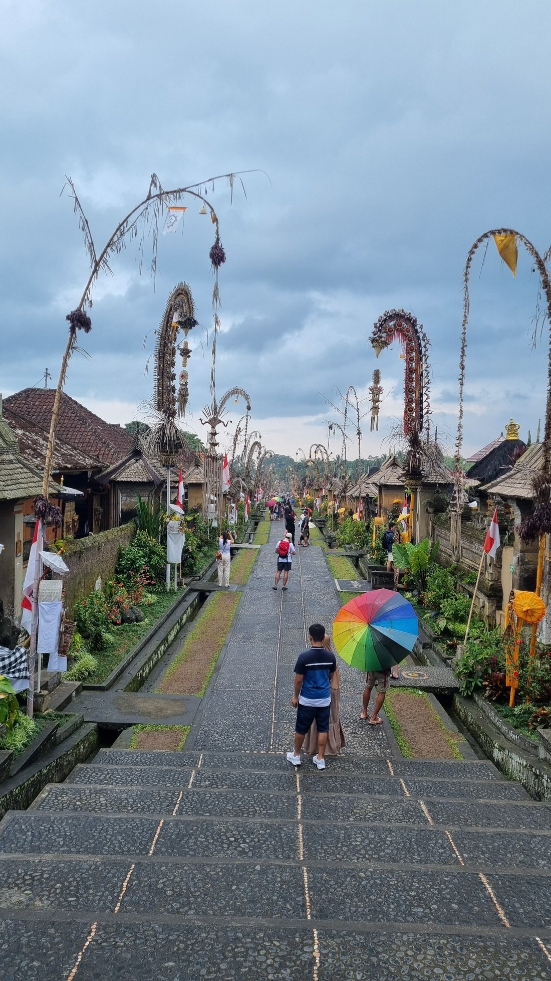 Towering bamboo trees creating natural cathedral in sacred forest