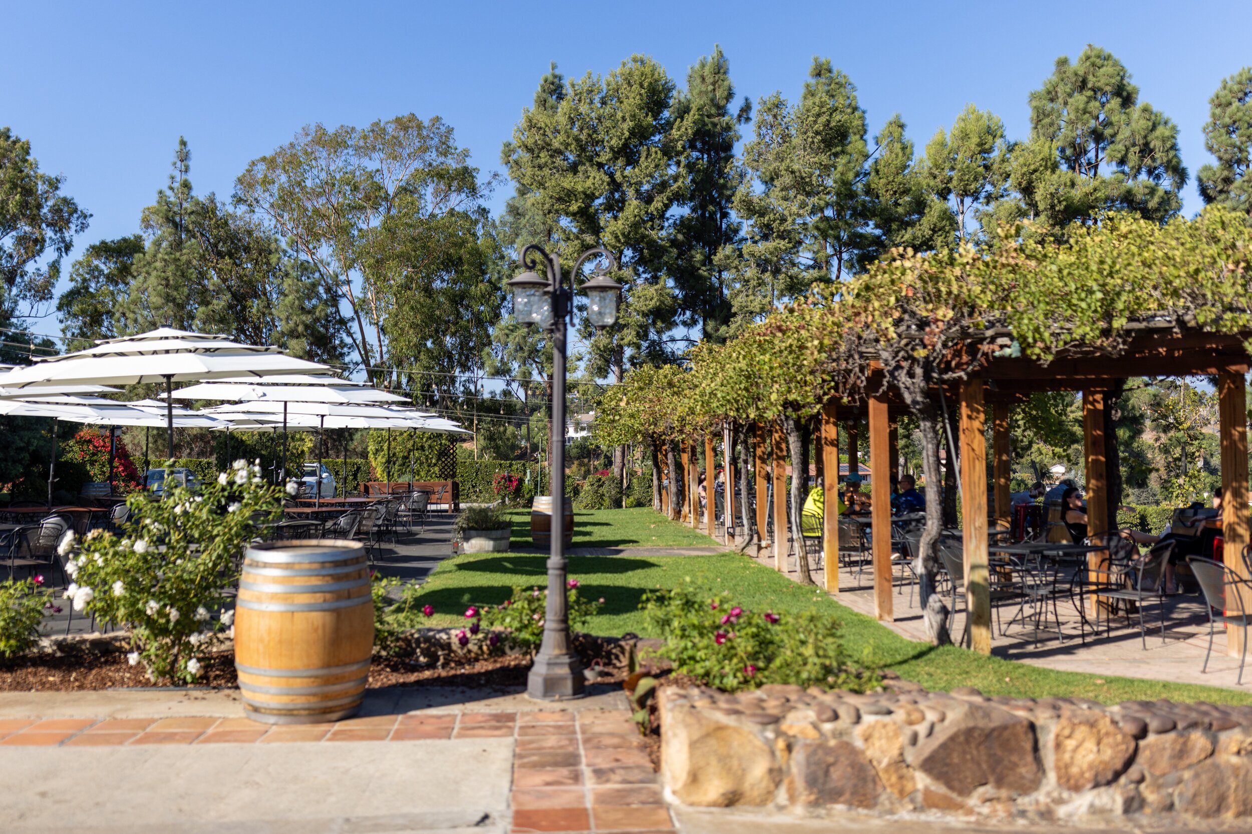 THE 10 BEST Escondido Wineries Vineyards to Visit 2025