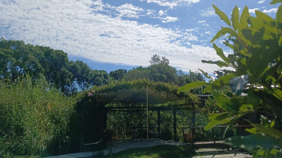 Our tranquil surroundings - Summer 2024/25