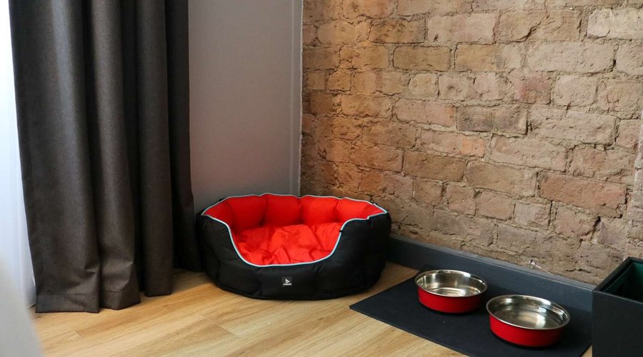 Pet friendly room