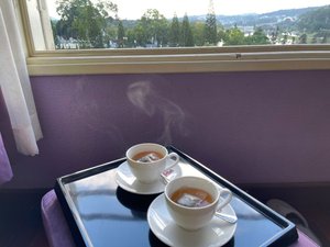 Phòng & Phòng Suite