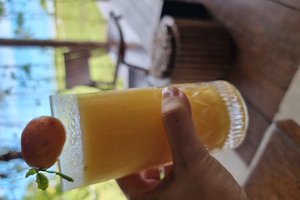 Bebidas