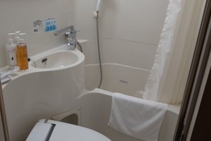 旅行者の写真