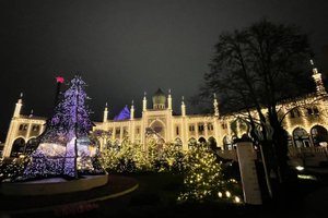 Billeder fra rejsende
