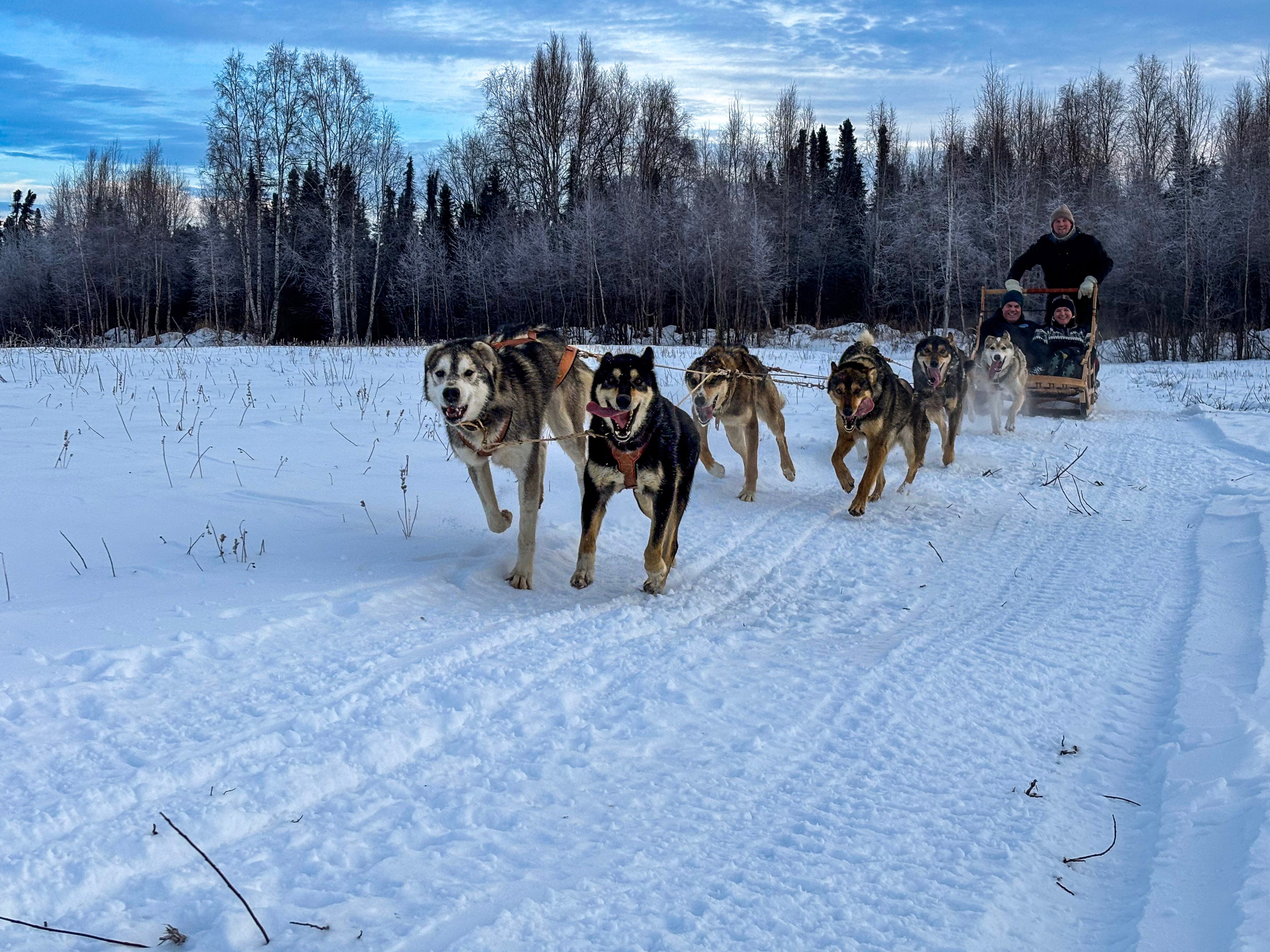 Colorado Dog Sledding 2025 All You Need To Know BEFORE You Go With Couple Enjoying A Sled