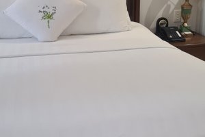 旅行者の写真