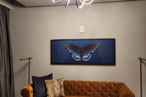 Room & Suite