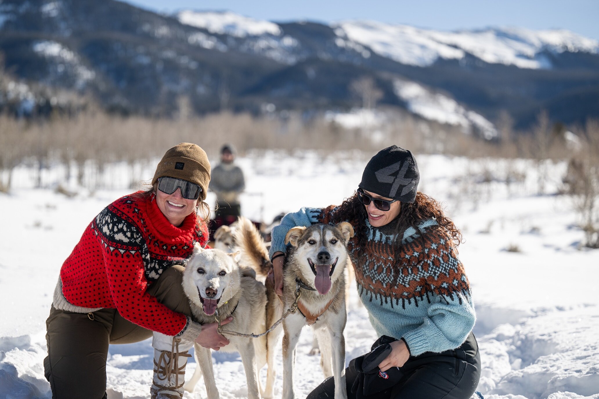 Colorado Dog Sledding 2025 All You Need To Know BEFORE You Go With Guest With Lead Dogs