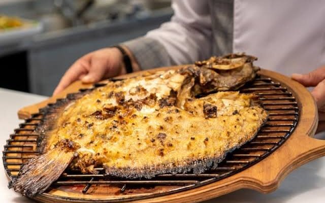 Turbot