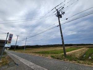 旅行者の写真