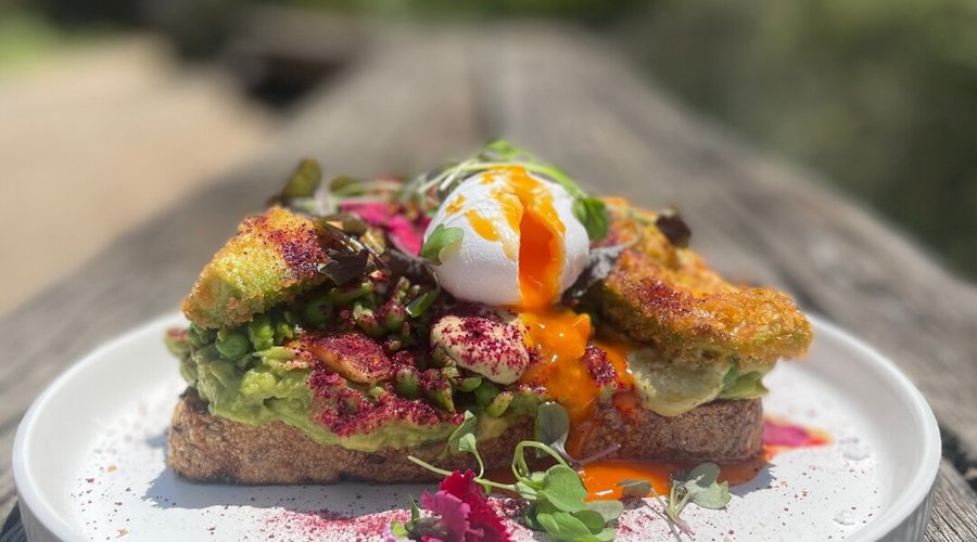 Smashed Avo - Paperbark Cafe @ Kuranga Native Nursery
