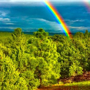 Double rainbow
