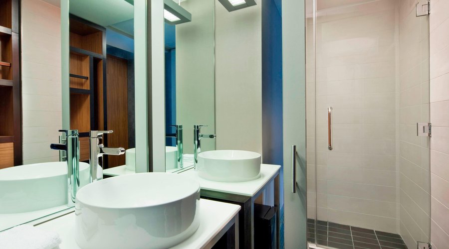 Guest Bathroom - Walk-In Shower