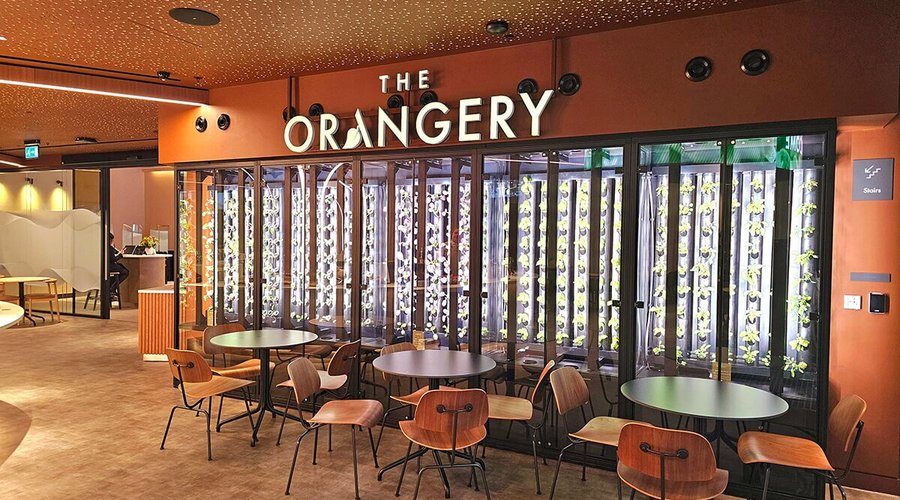 THE ORANGERY TOTTENHAM COURT ROAD, London - Restaurant Bewertungen ...